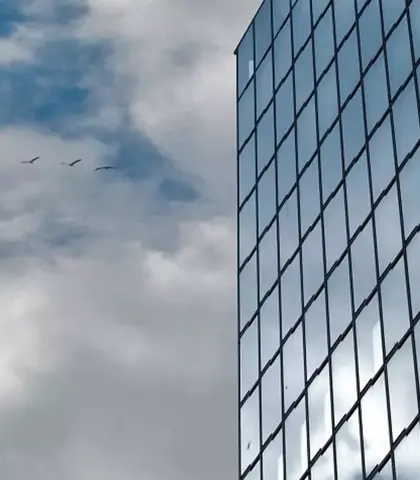 een reflecterend glazen gebouw tegen een achtergrond van een blauwe lucht met wolken en vliegende vogels